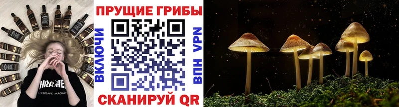 купить наркотик  Алдан  гидра ссылки  Псилоцибиновые грибы Psilocybine cubensis 